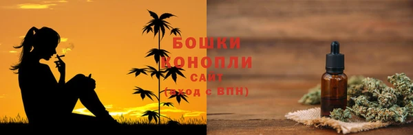 дмт Горно-Алтайск