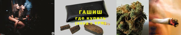 дмт Горно-Алтайск