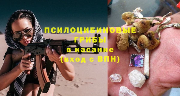 бошки Горнозаводск